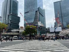 -涩谷全向十字路口