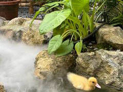 -伴山茶苑·一盏冰茶·半日山居