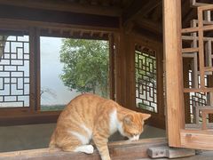 -素描餐厅(灵隐天竺店)