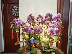 -万顷园艺世界