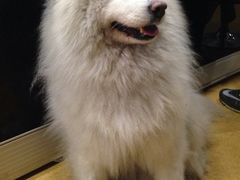 可爱的妹妹-缘缘酒店(观前街店)