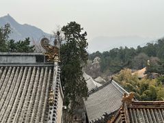 -潭柘寺景区