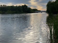 -马家湾湿地公园