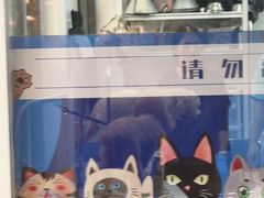 -芭比堂动物医院·心脏科·老年急重症·夜诊·吉雅分院