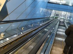 -大龙山(地铁站)