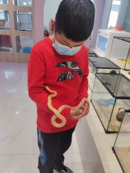 -Moni星球萌宠·小马宝莉·灵蛇·高端高阶全萌宠互动体验俱乐部(红豆国际广场店)