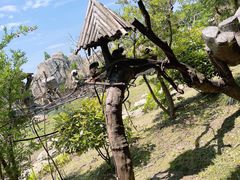 -上海野生动物园