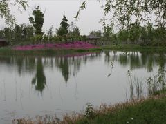 -苏州太湖国家湿地公园