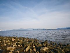 -深圳湾公园(南山区)