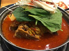 土豆排骨火锅-喇喇排骨火锅·传统韩式脊骨汤(望京西园总店)