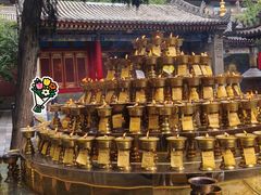 -西安市广仁寺
