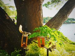 -网红落日悬崖餐厅 The Sky Gallery