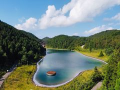 -武陵山森林公园