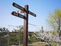 -永定河休闲森林公园