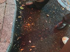 -湖南乡情湘菜馆(罗湖店)
