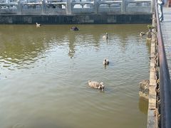 -珠海圆明新园