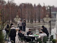 -白鹭湾湿地公园