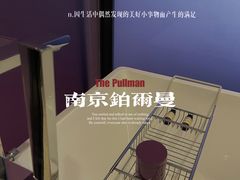 -南京禄口机场雅高铂尔曼大酒店