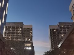 -深圳国际会展中心希尔顿酒店(前海华发冰雪世界店)