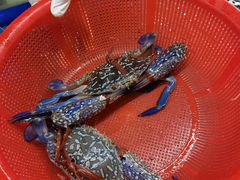 -正能量1号海鲜加工店