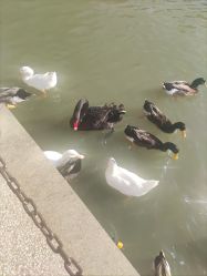 -玄武湖景区-情侣园游乐场