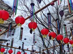 -黑龙潭风景区