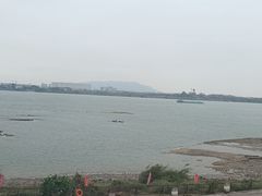 -八仔大富楼·河鲜(西江店)