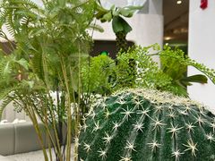 -大树餐厅(大悦城店)