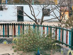 -济南野生动物世界