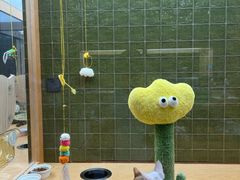 -帕帕拉兹宠物(亚洲旗舰店)