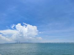 -招商蛇口邮轮母港(观光客运)
