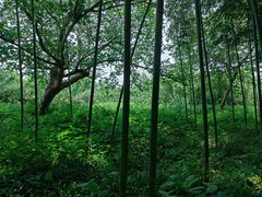 -沙家浜风景区