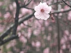 -堤角公园