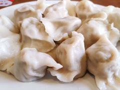 -鸿毛饺子(紫竹桥店)