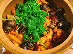 -食爺炭炉鸡煲·烧烤