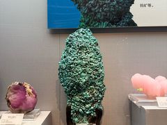 -湖南省地质博物馆