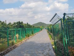 -树山生态村