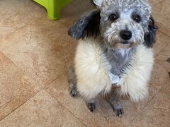 -德克士(上东店)