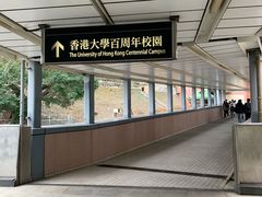 -香港大学