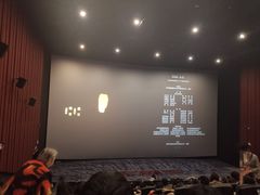 -深影国际影城(学院南路店CGS中国巨幕店)