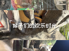 -长鹿旅游休博园