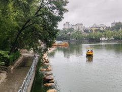 -莲湖公园