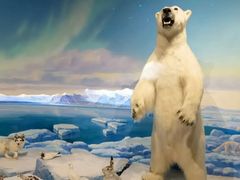 -陕西自然博物馆