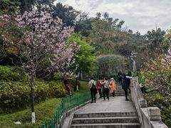 -乌山风景区