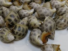 盐焗花螺-四海之家(蛇口店)