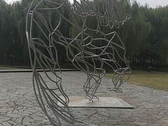 -同里国家湿地公园