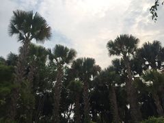 -西双版纳总佛寺