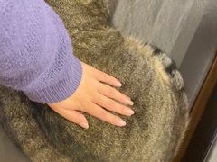 -喵园·猫主题咖啡厅·撸猫·猫咖(国贸店)