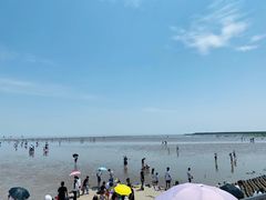 -奉贤海滩