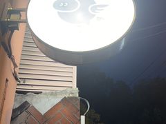-WHEN PIGS FLY当猪飞